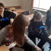 Домедична підготовка - МЛІТб